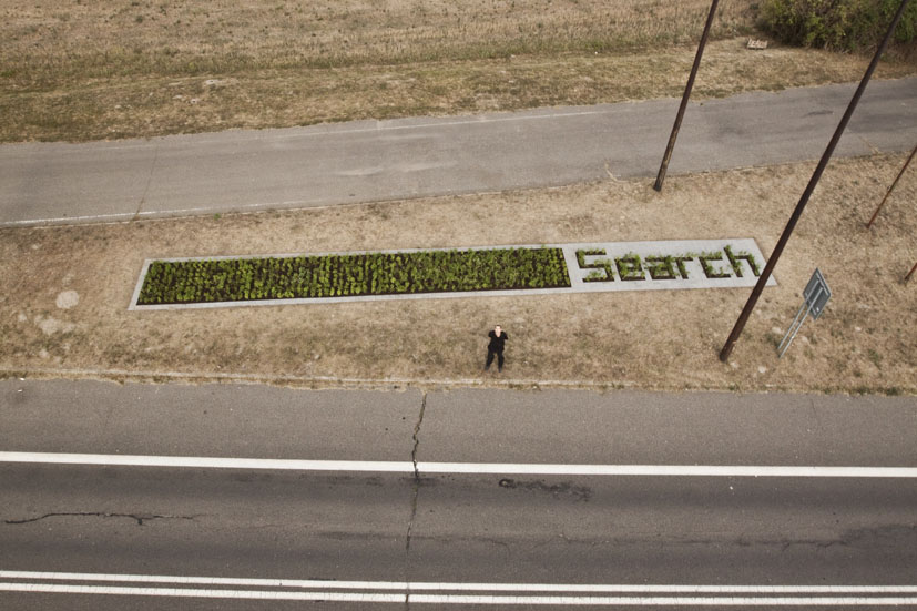 Search, horitkulturalna_Instalacija, 2.2 x 20 m, Rajka, 2012